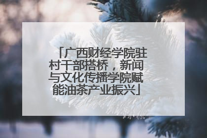 广西财经学院驻村干部搭桥，新闻与文化传播学院赋能油茶产业振兴